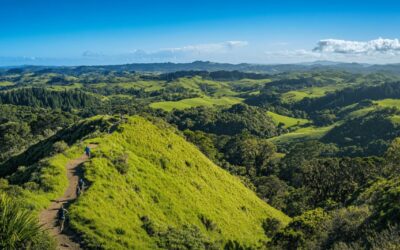 Discover Scenic Hiking Trails for Every Level of Fitness