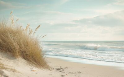 Natural beauty tips inspired by the coastal lifestyles of Vendée