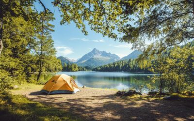 What You Need to Know About CANMP: Leveraging Technology and API Capabilities for Mortgage Professionals